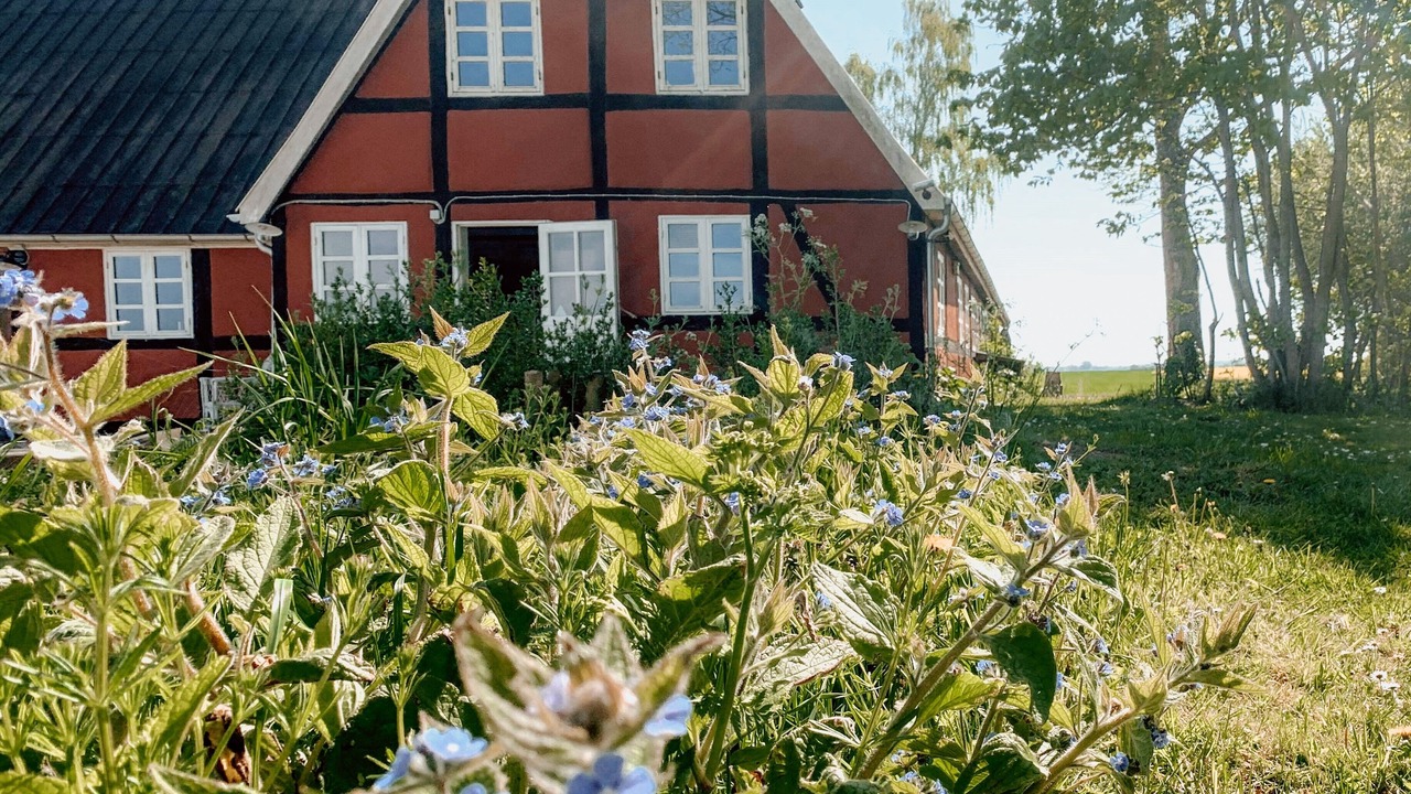 Photo of Outdoor in Sakskobing