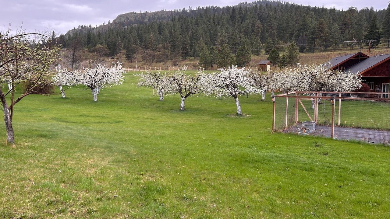 Photo of Outdoor in Dayton