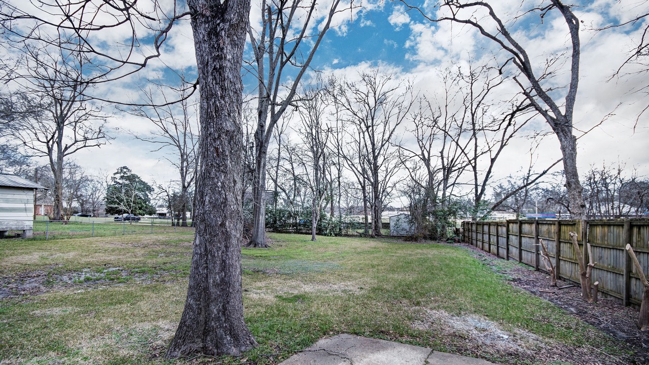 Photo of Outdoor in Flora
