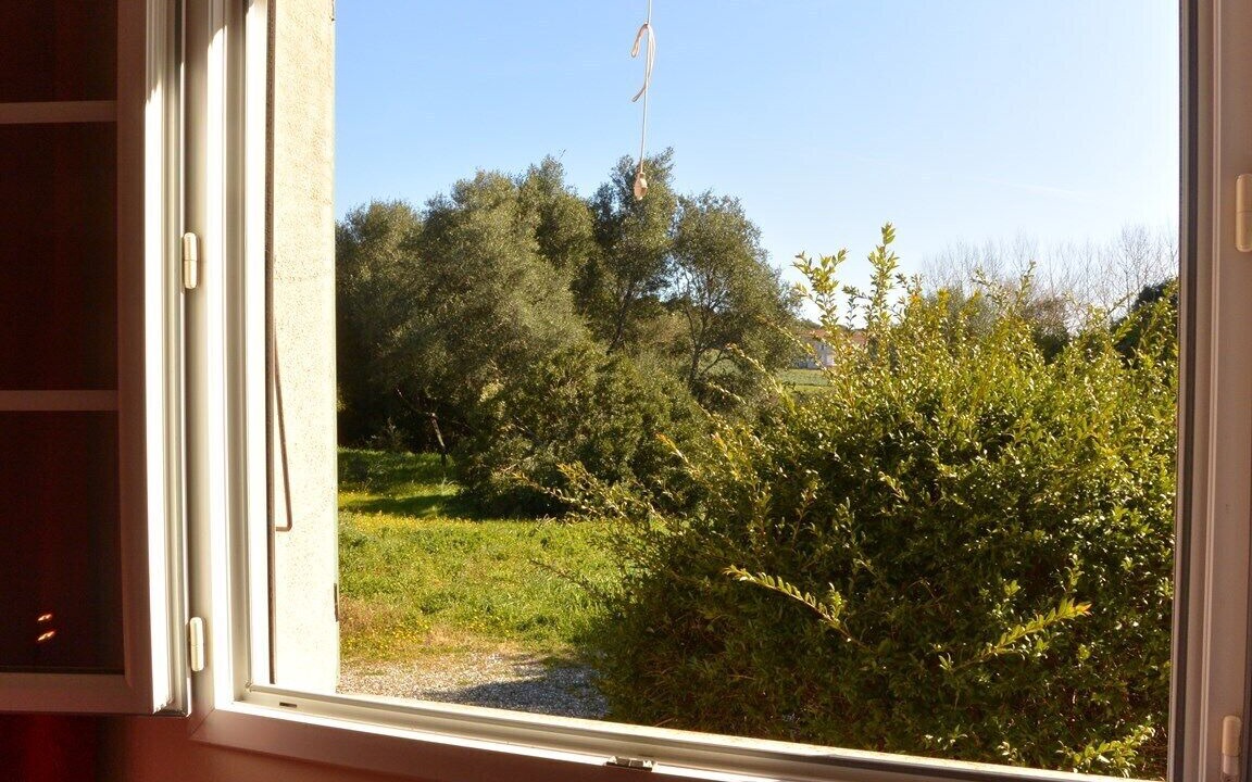 Photo of Others in Aleria