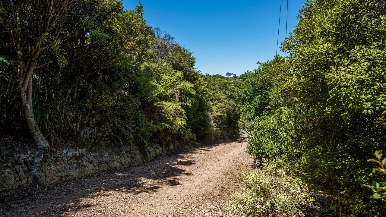 Photo of Outdoor in Surfdale