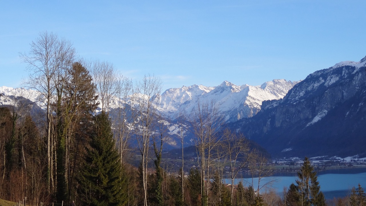 Photo of Others in Hofstetten bei Brienz