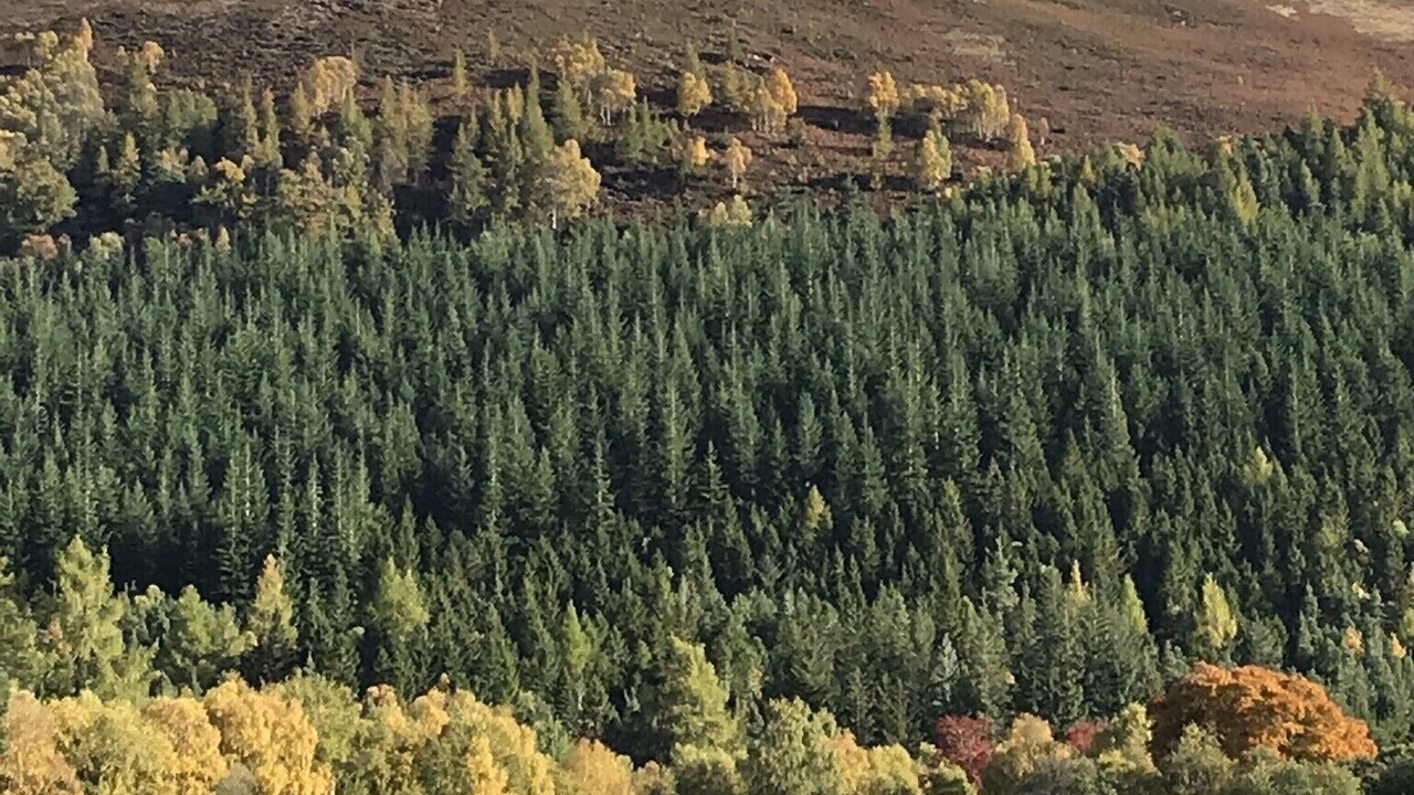 Photo of Others in Marybank