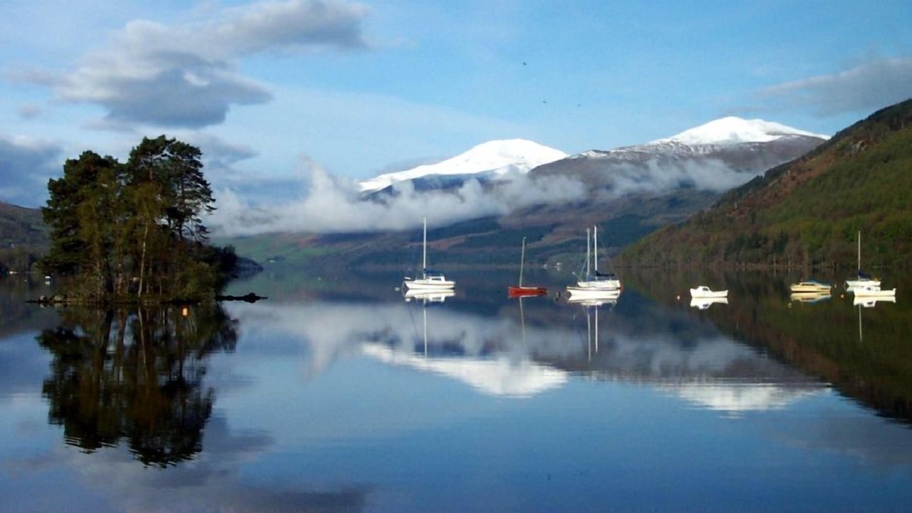 Photo of Others in Kenmore