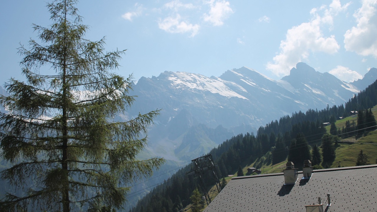Photo of Others in Murren