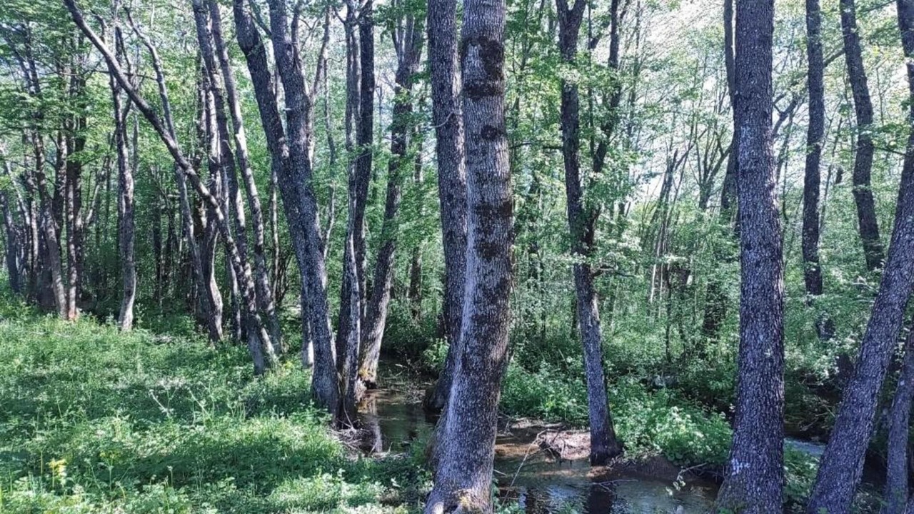 Photo of Others in Lovinac