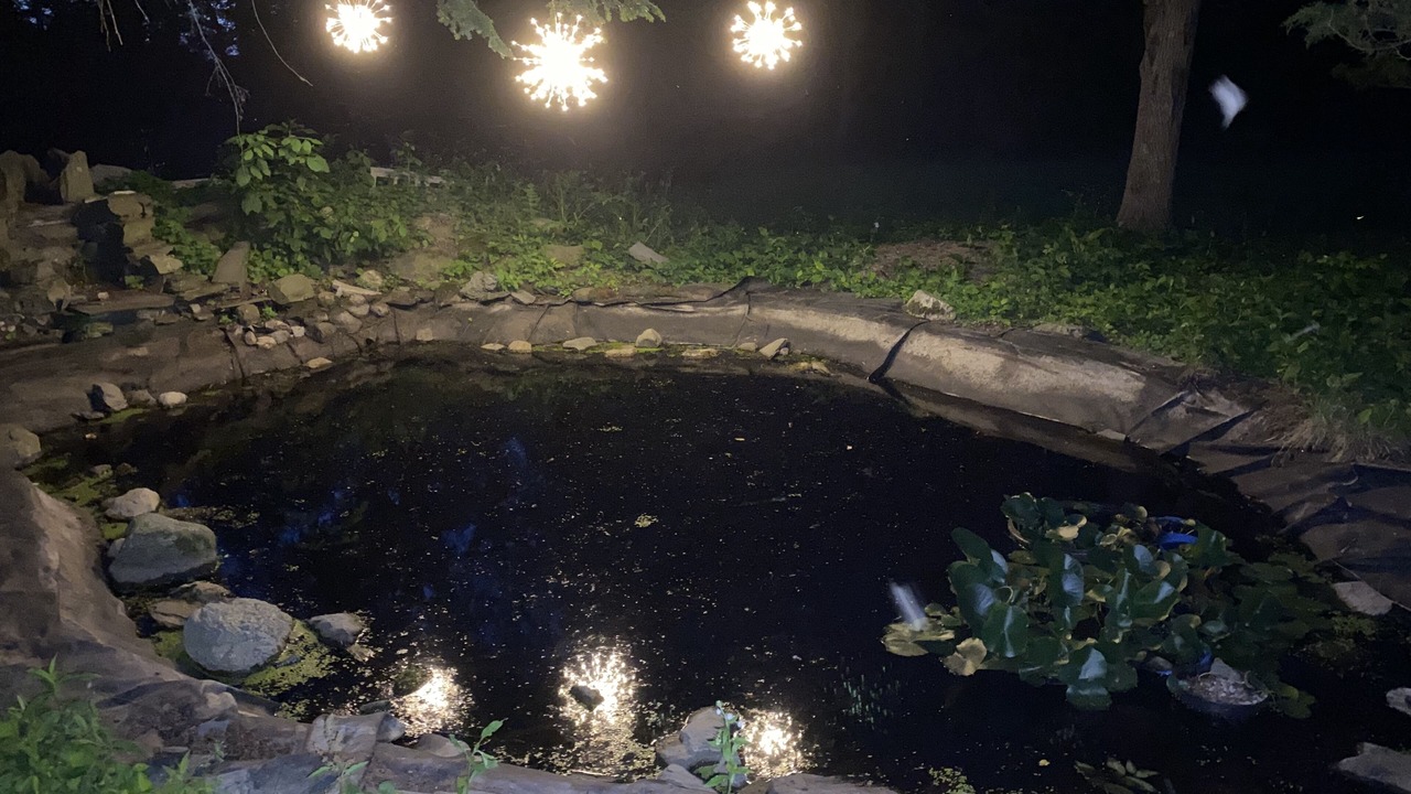 Photo of Outdoor in Trumansburg