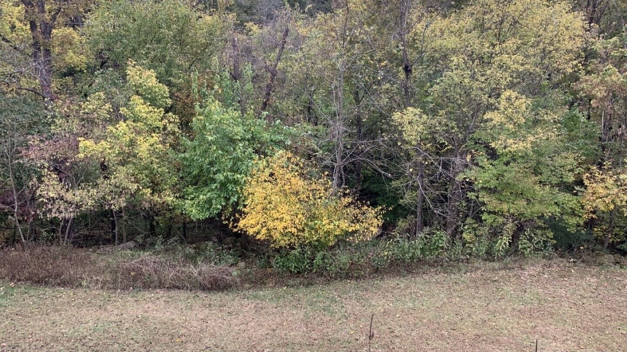 Photo of Outdoor in Eureka Springs