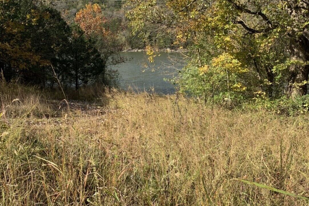 Photo of Outdoor in Eureka Springs