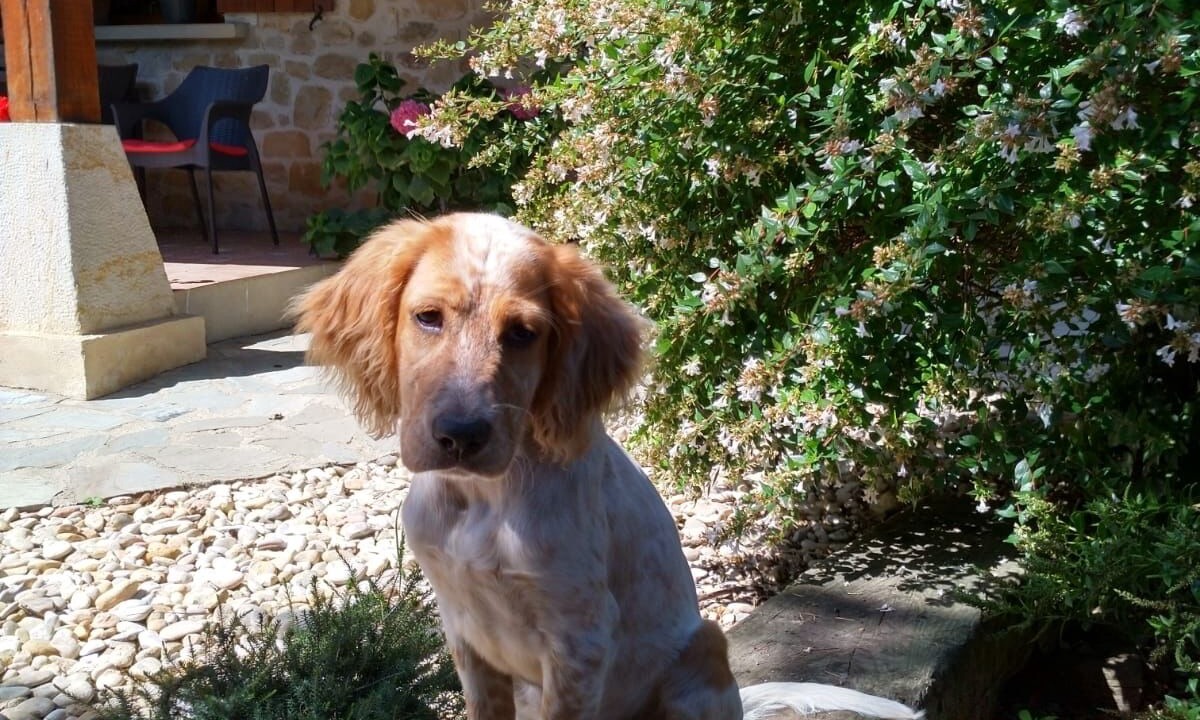 Photo of Outdoor in Murgia