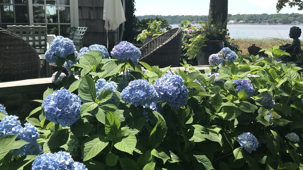 Photo of Others in Port Washington