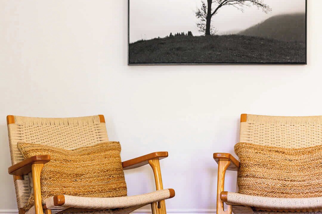 Photo of Others in Orange