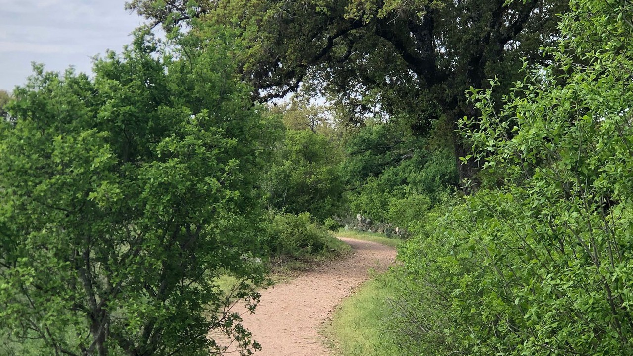 Photo of Others in Dripping Springs