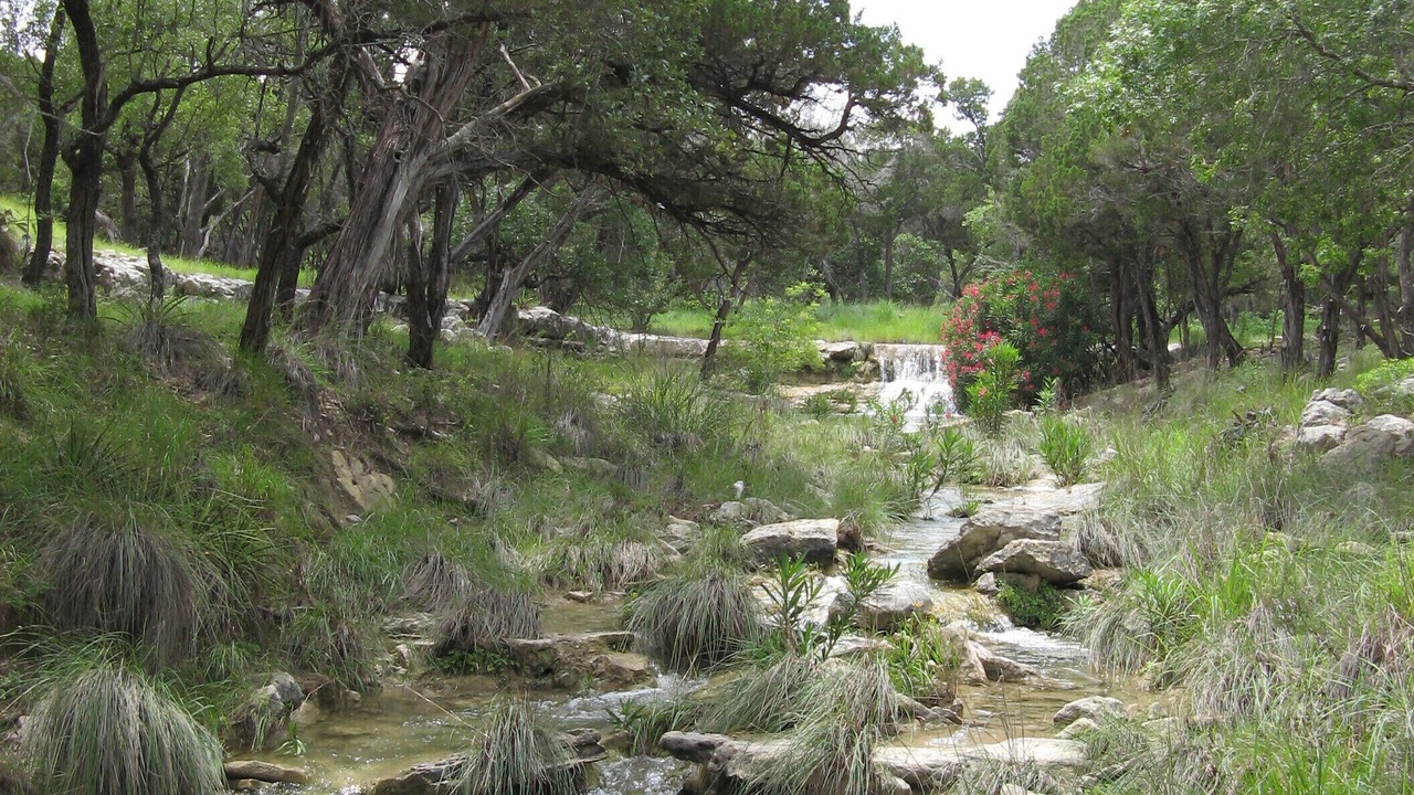 Photo of Others in Dripping Springs