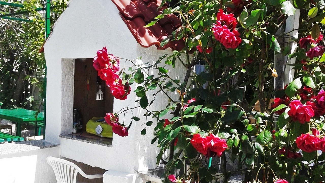 Photo of Patio Balcony in Palit
