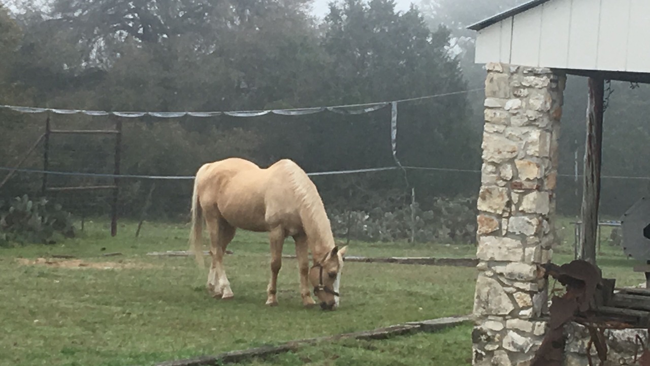 Photo of Outdoor in San Marcos