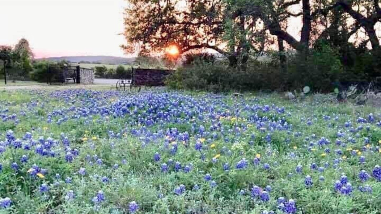Photo of Outdoor in San Marcos
