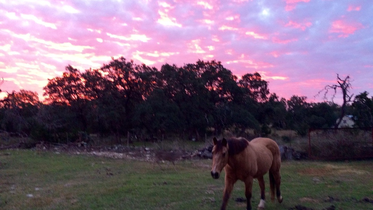 Photo of Outdoor in San Marcos
