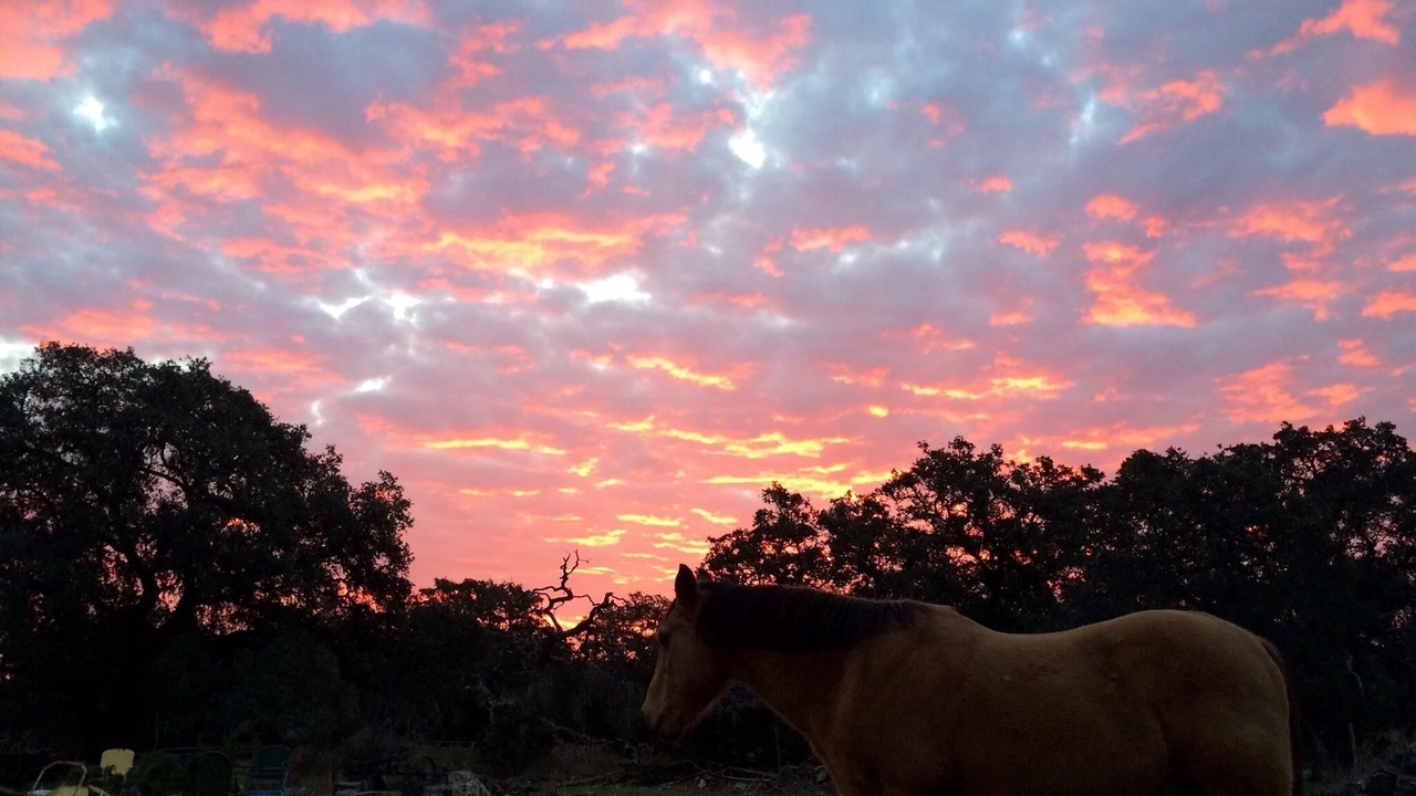 Photo of Outdoor in San Marcos