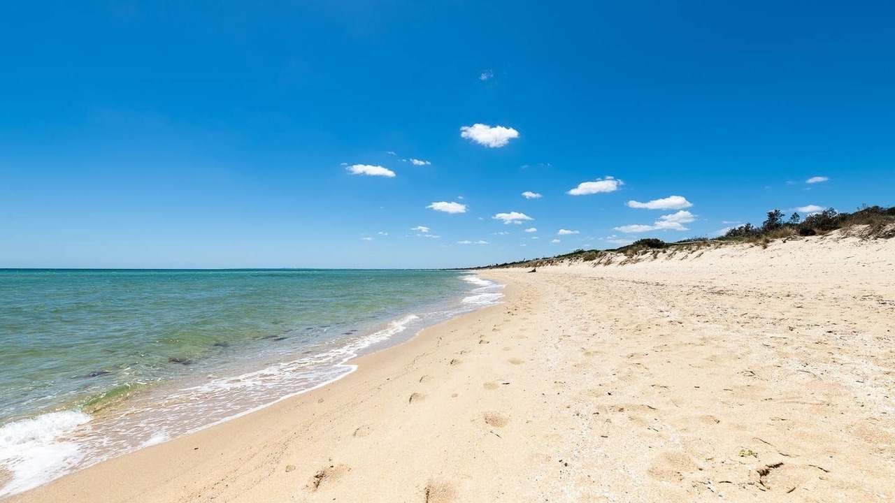 Photo of Others in Seaford