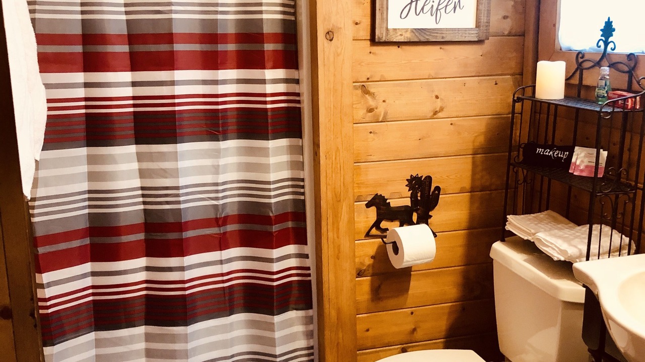 Photo of Bathroom in Canyon Lake