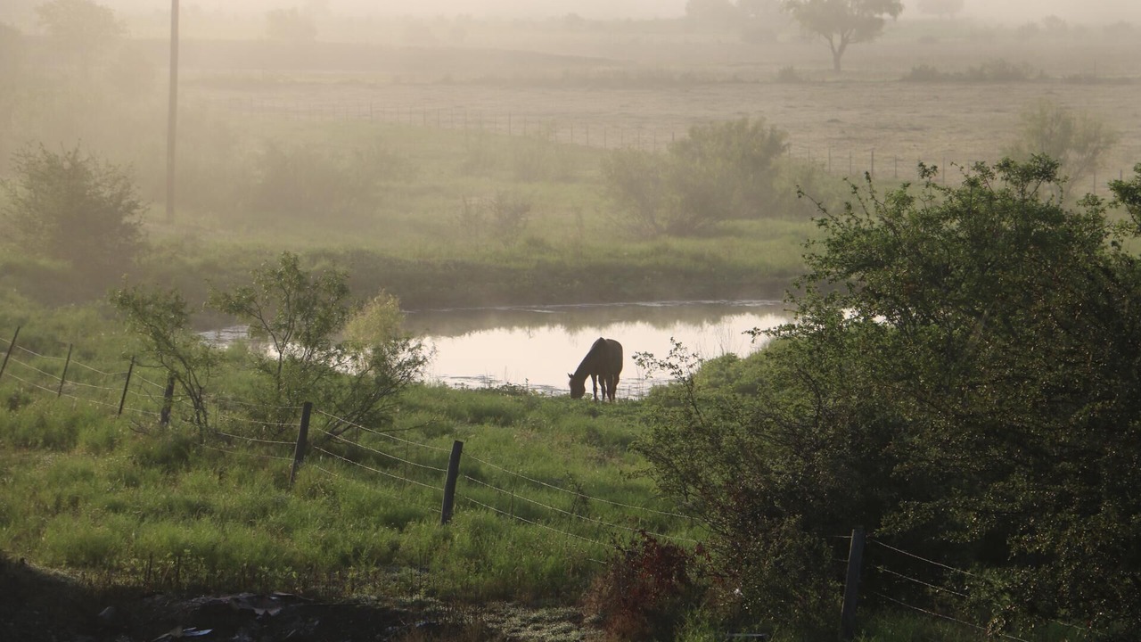 Photo of Others in Lockhart