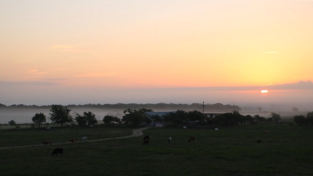 Photo of Others in Lockhart