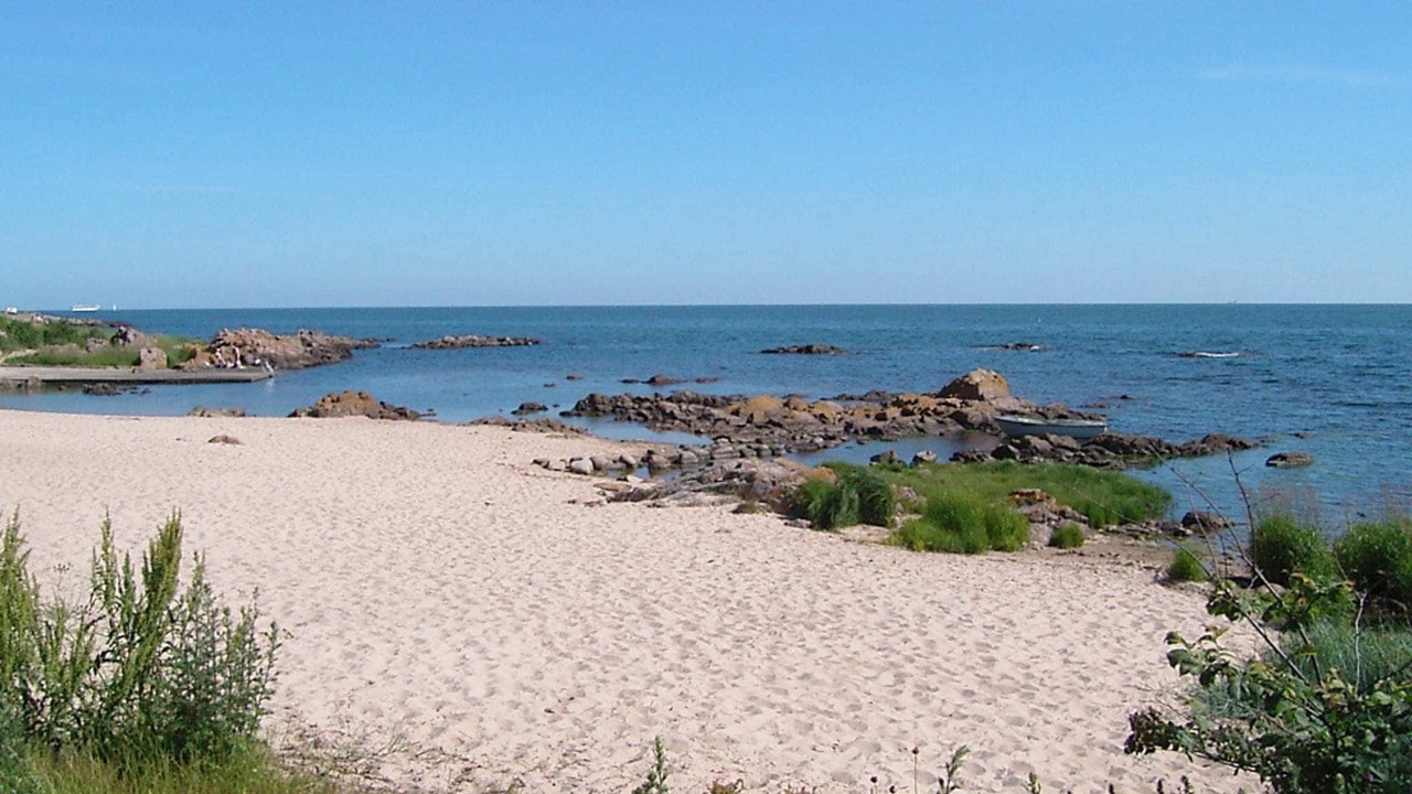 Photo of Others in Sandkaas