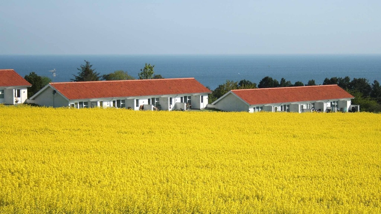 Photo of Others in Sandkaas