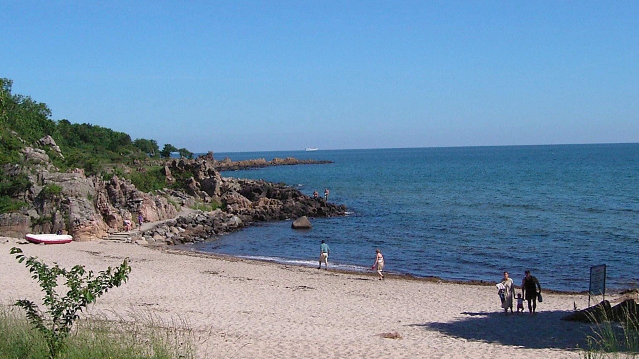 Photo of Others in Sandkaas