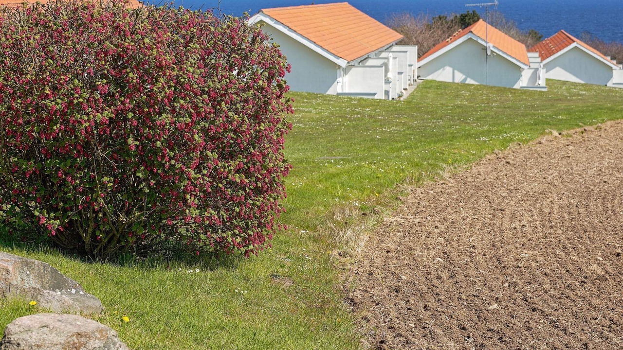 Photo of Others in Sandkaas