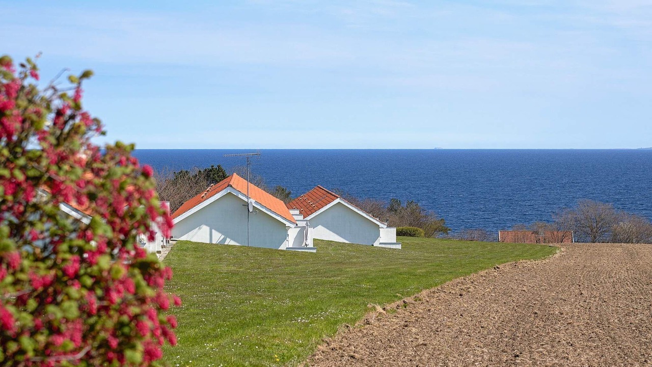 Photo of Others in Sandkaas