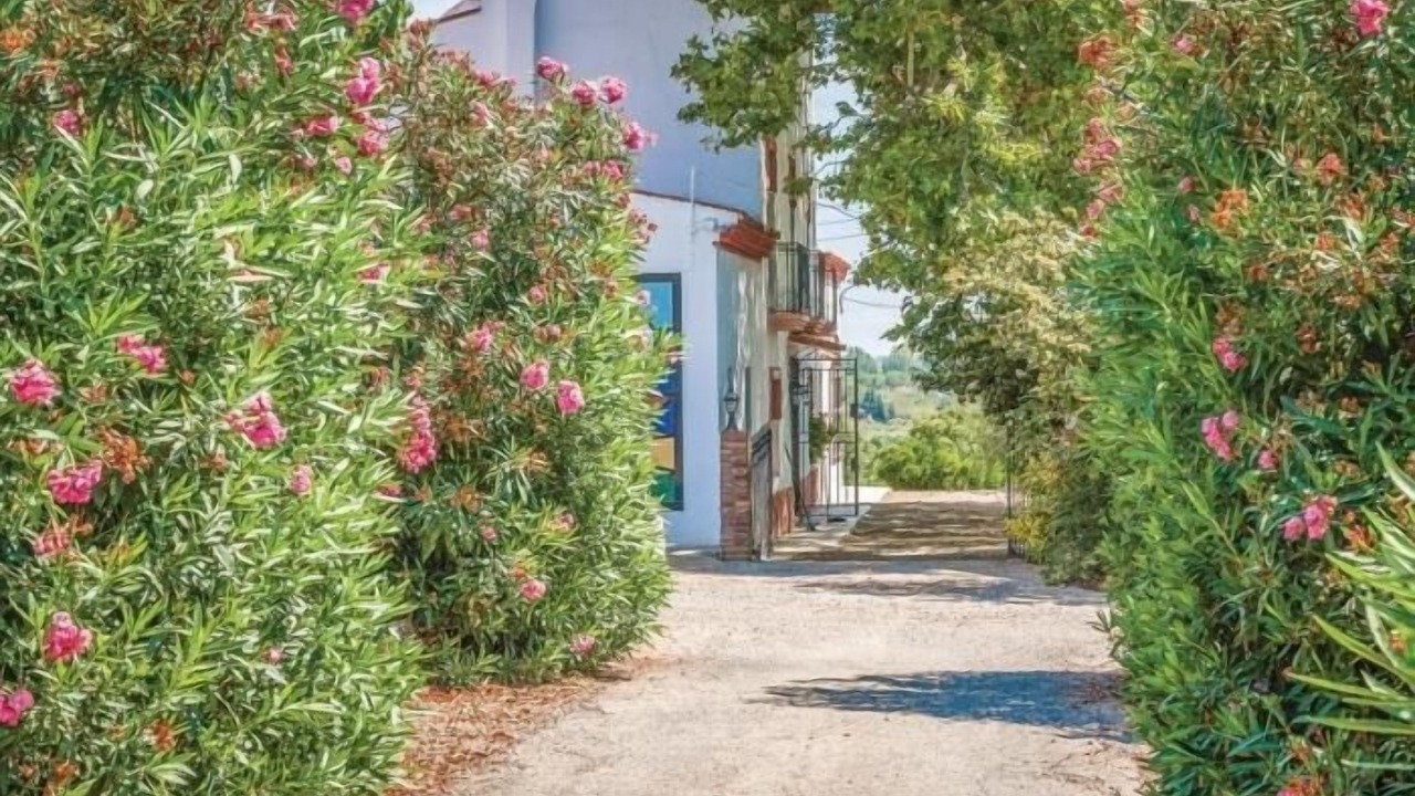 Photo of Outdoor in Riudoms