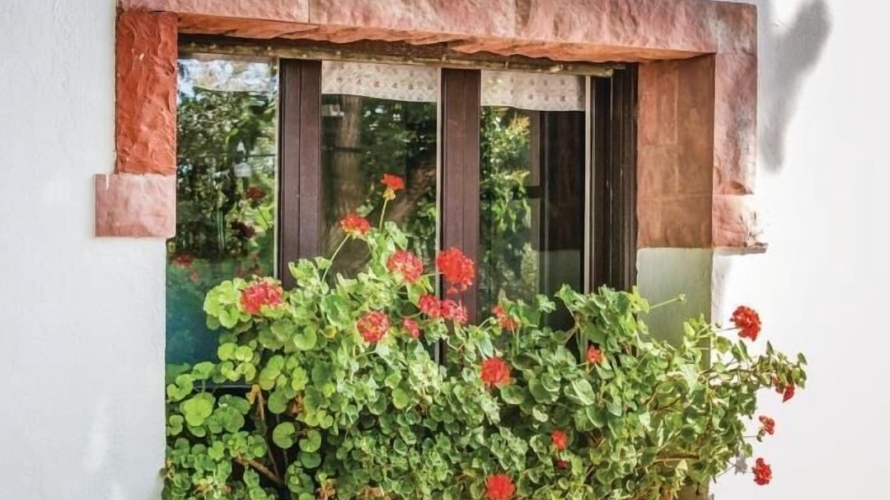 Photo of Outdoor in Riudoms