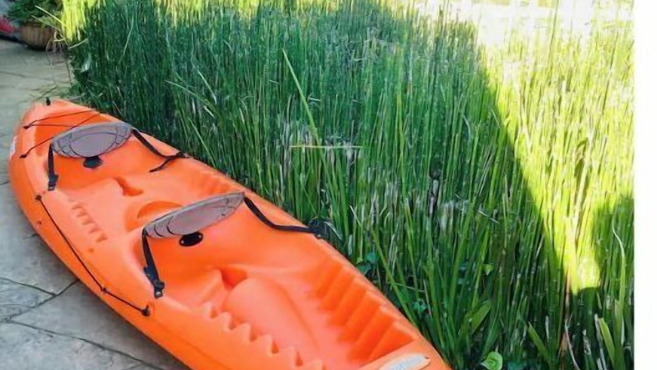 Photo of Others in San Rafael