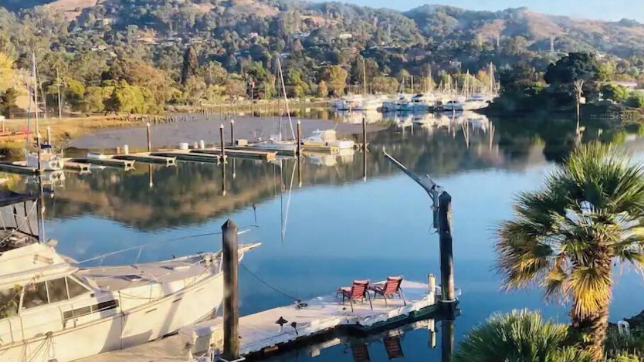 Photo of Others in San Rafael