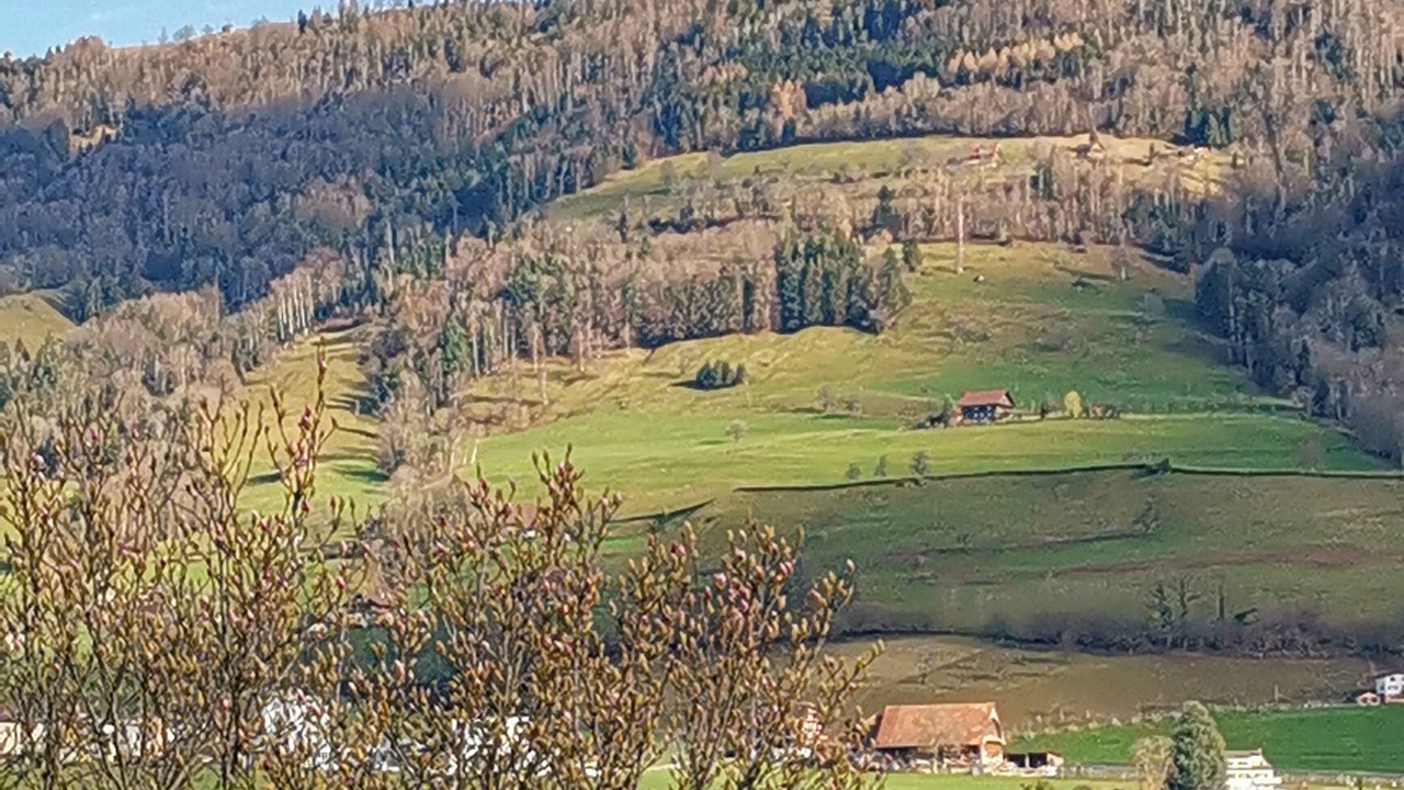 Photo of Others in Merlischachen