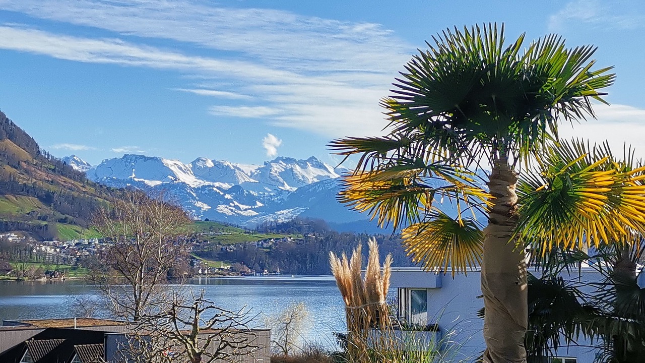 Photo of Outdoor in Merlischachen