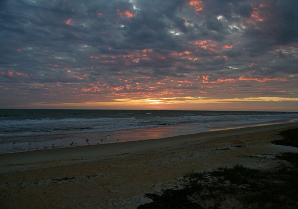 Photo of Others in O'byrne