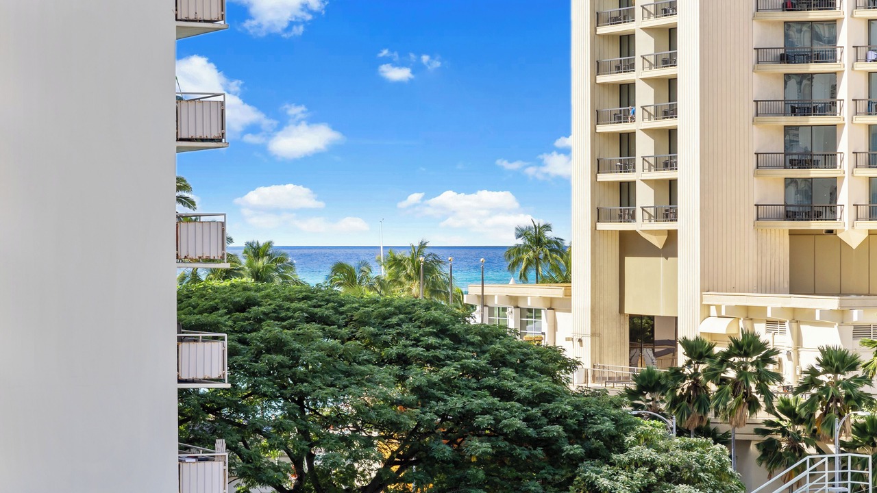 Photo of Others in Waikiki