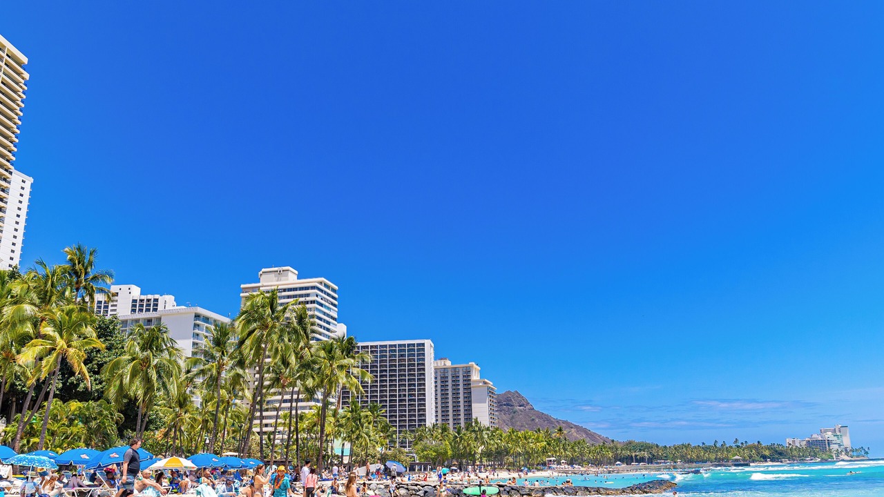 Photo of Others in Waikiki