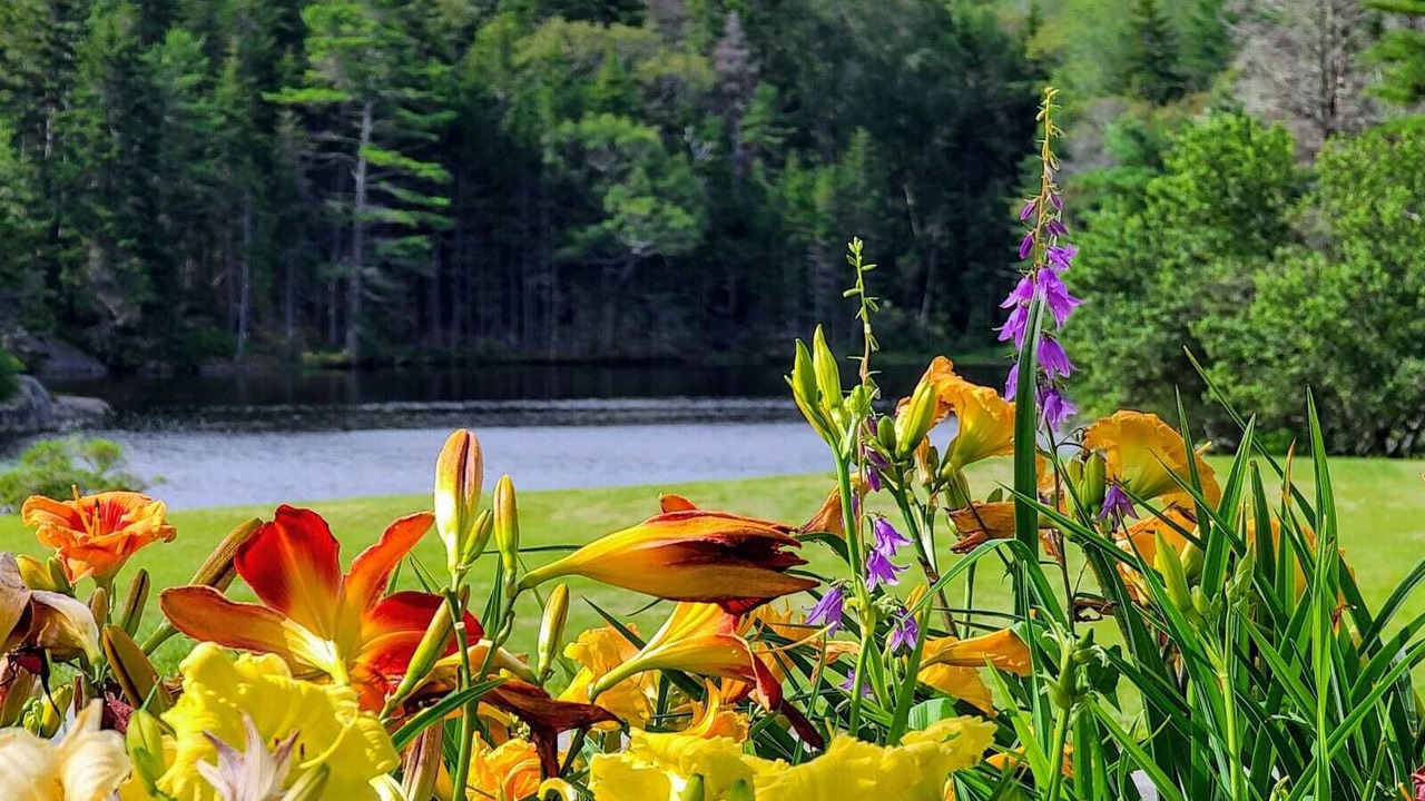 Photo of Others in Bayville