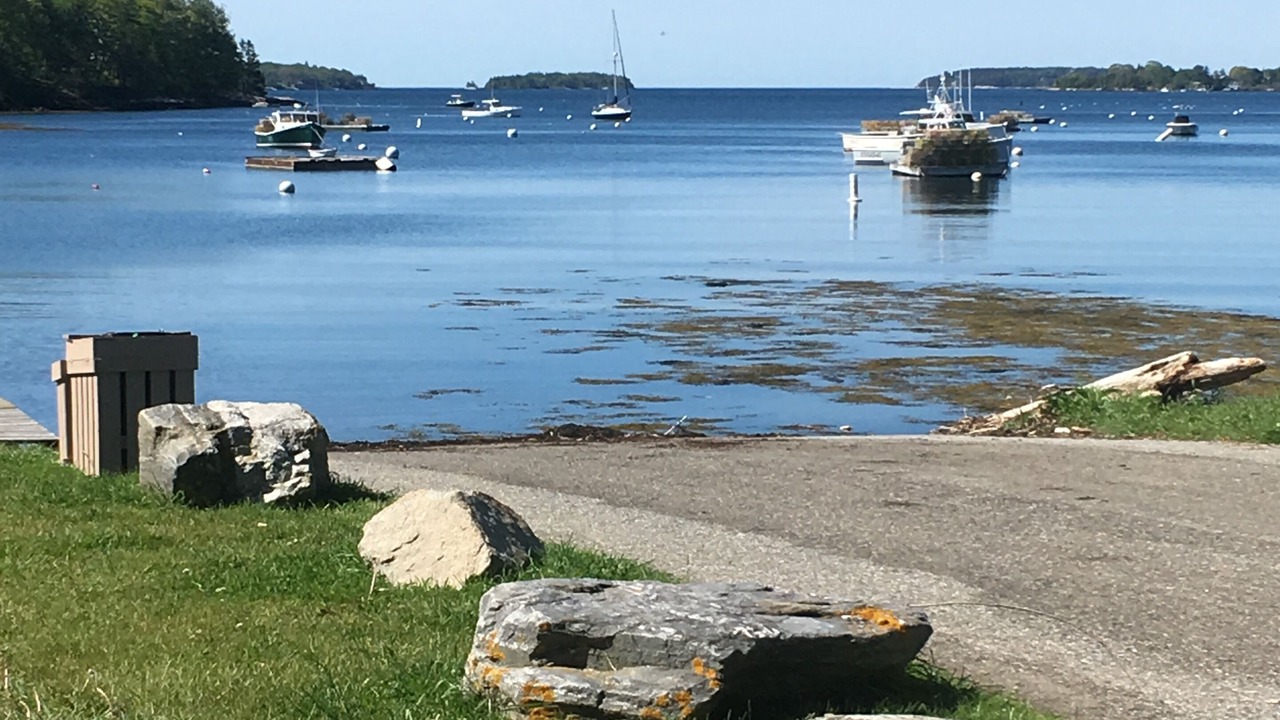 Photo of Others in Bayville