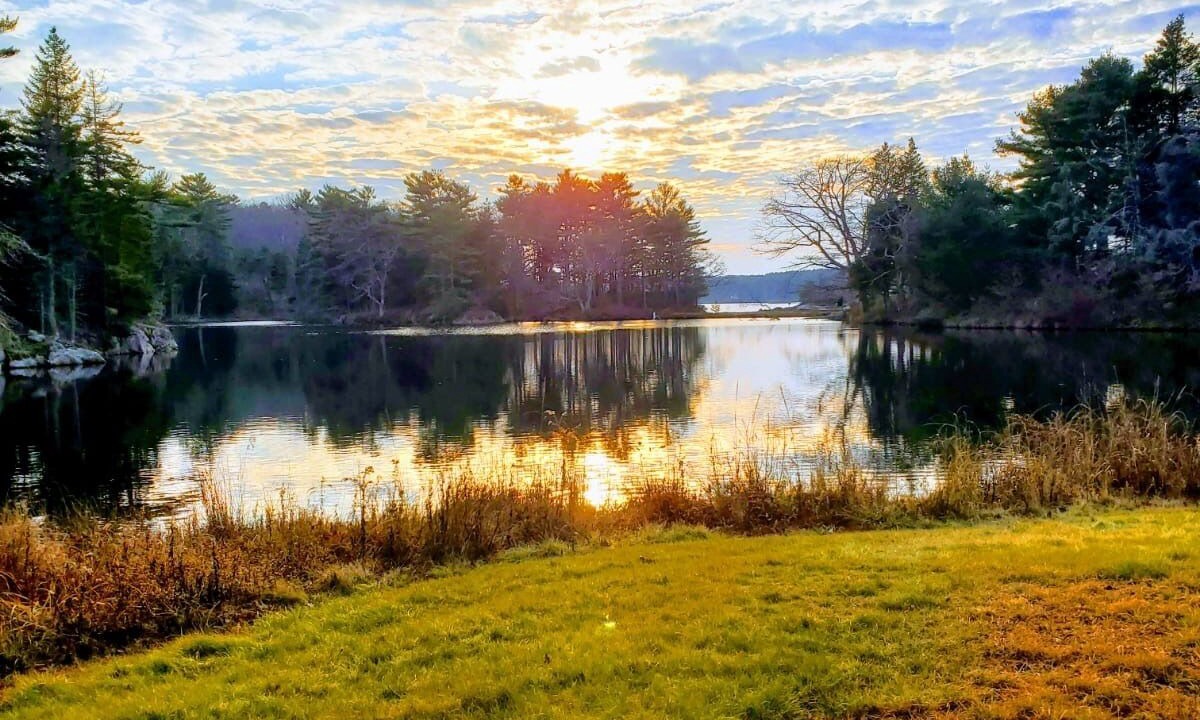 Photo of Others in Bayville