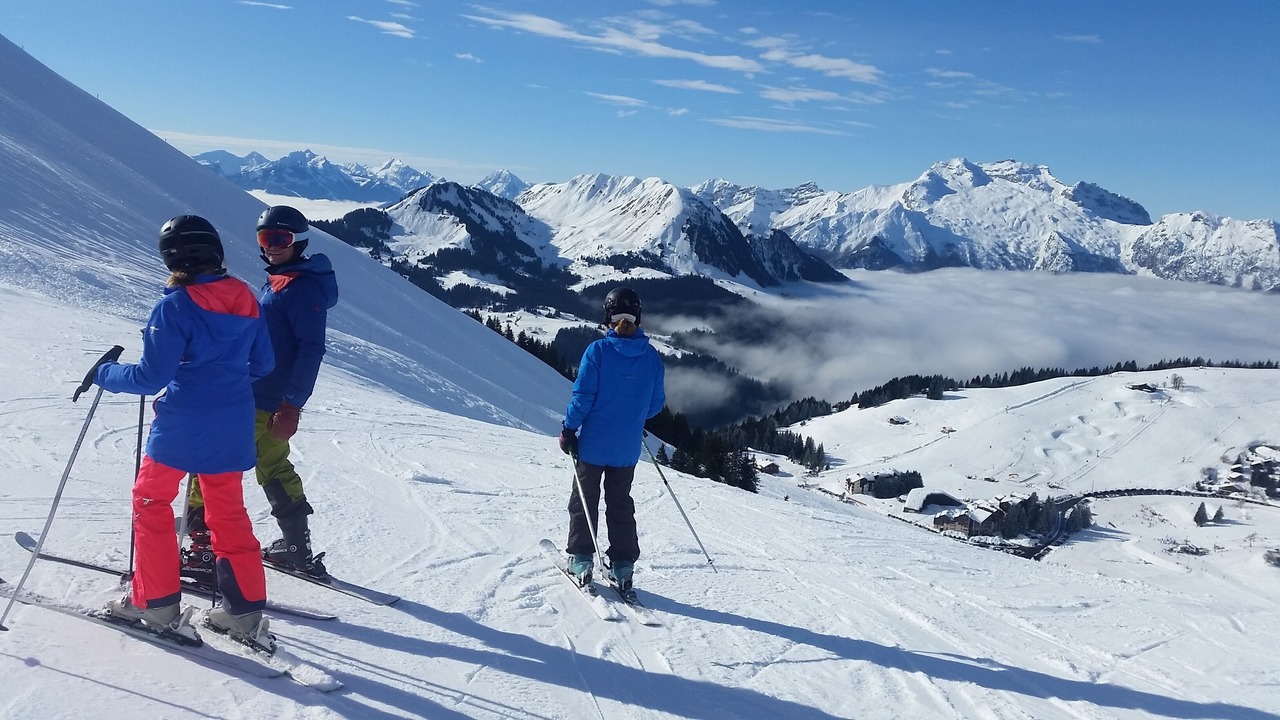 Photo of Others in Menthon-Saint-Bernard