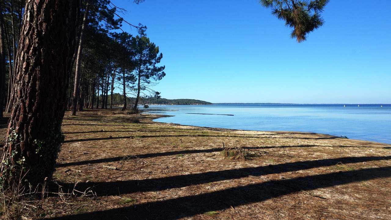 Photo of Others in Biscarrosse Plage