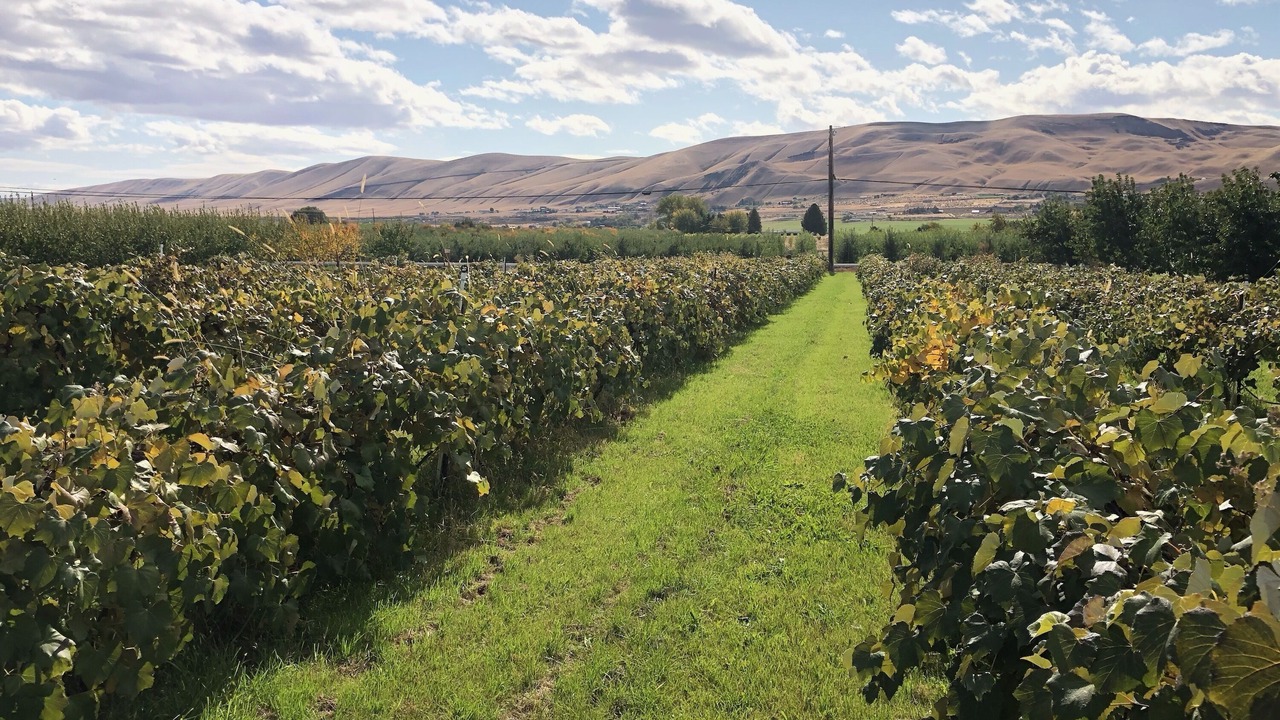 Photo of Outdoor in Benton City