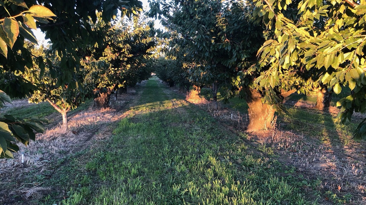 Photo of Outdoor in Benton City