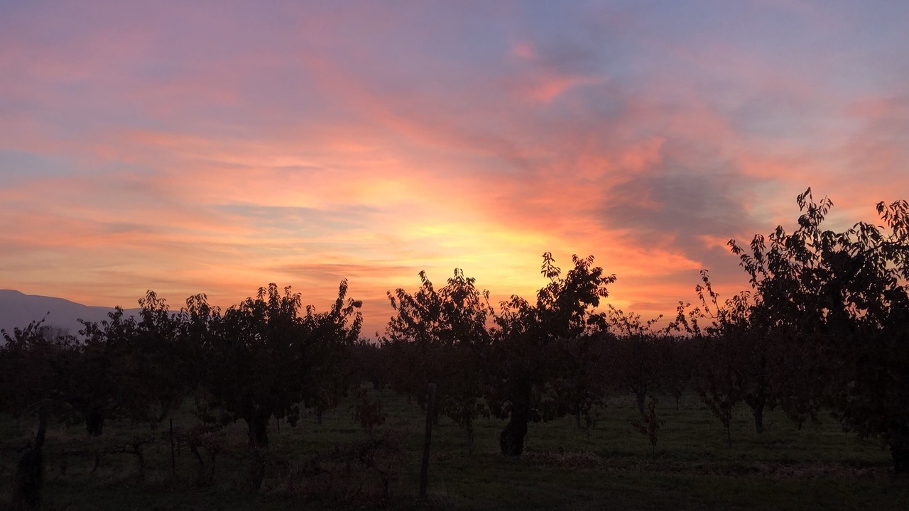 Photo of Outdoor in Benton City