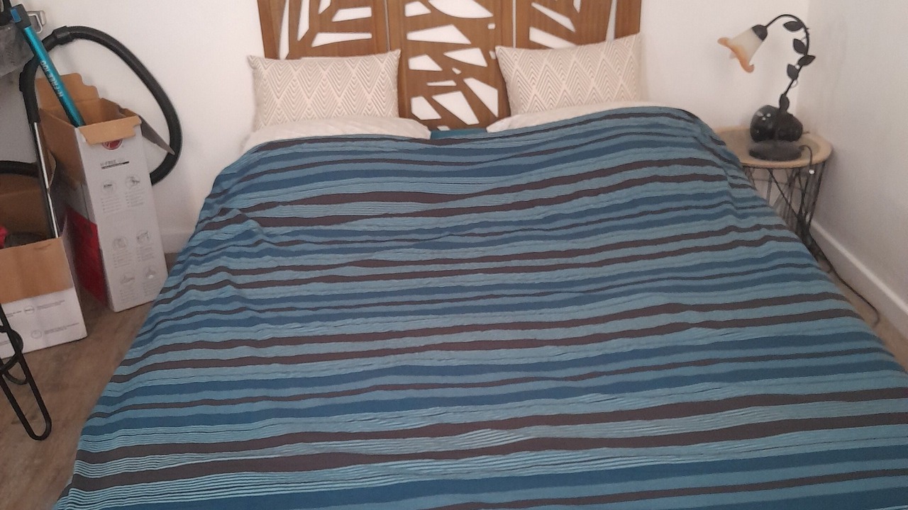 Photo of Bedroom in Lemasson